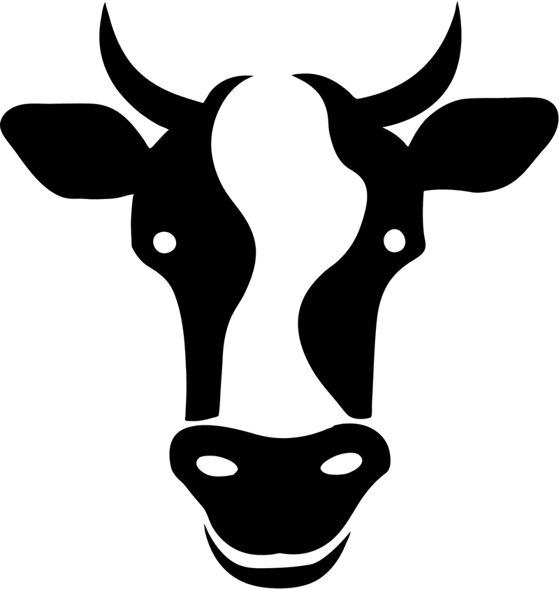 Ultimate Frisbee Lüneburg